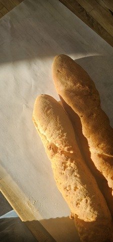 Gluten Free Vegan Baguettes